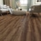 Lucida Surfaces LUCIDA SURFACES, MaxCore American Oak-Sample MC-509SMP - alternate 9